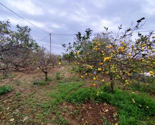 Casa o xalet en venda en Cartagena amb Jardí privat