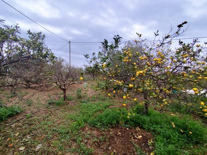House or chalet for sale in  SAURAS, LOS - DS EL PLAN, Miranda, Pedanías Oeste, Cartagena