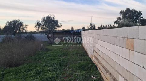 Foto 4 de Finca rústica en venda a Carmona, Sevilla