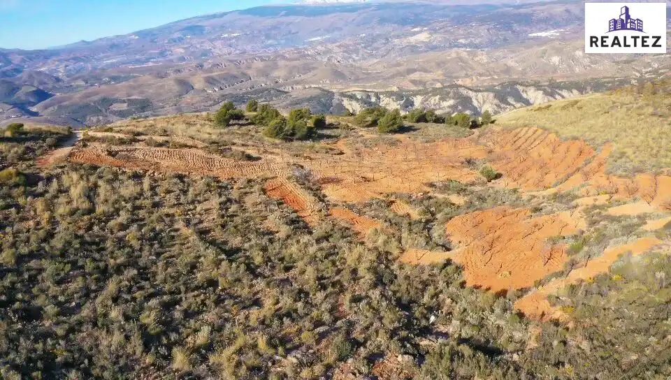Terrain rustique à vendre à Alcolea, imagen 4
