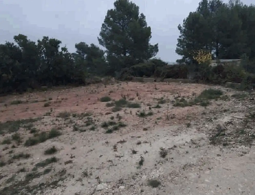 Terrain rustique à vendre à C/ Montesa, imagen 3
