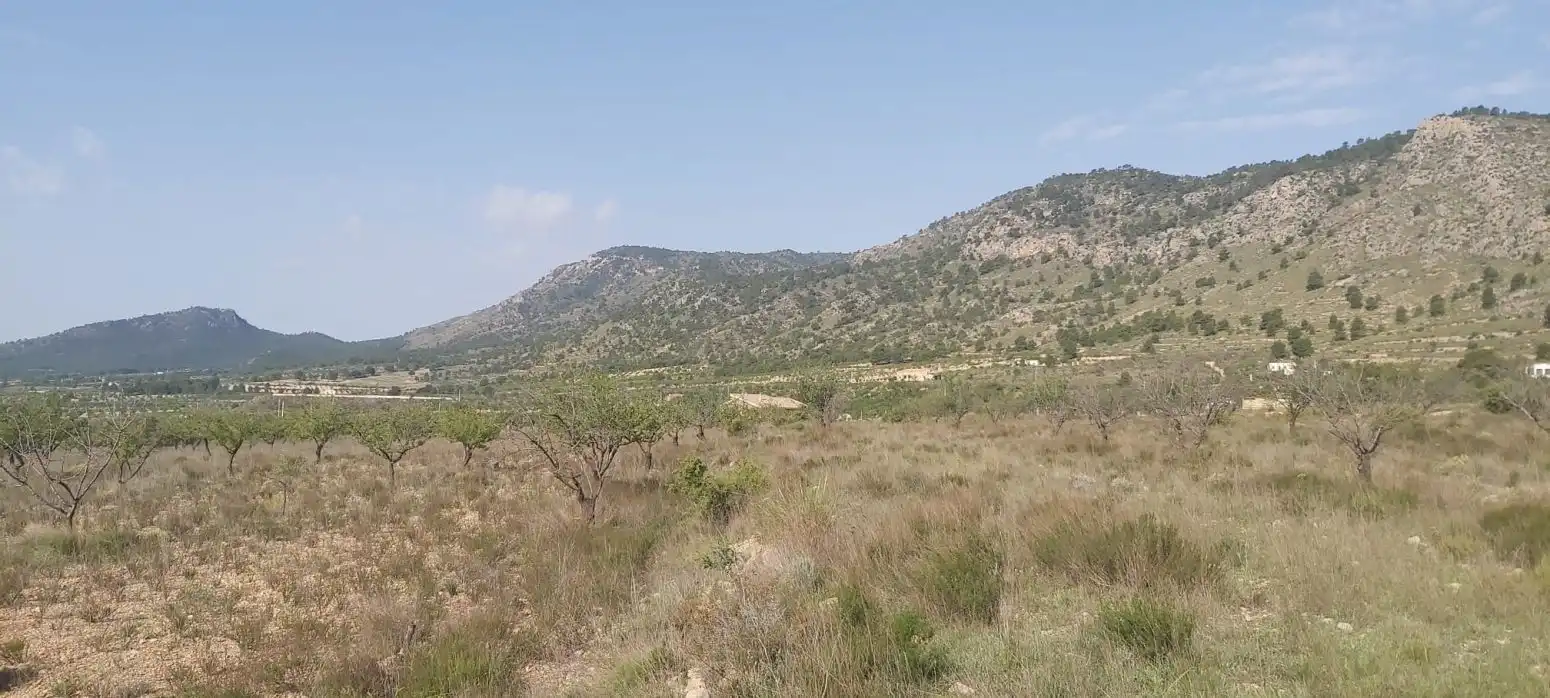 Rustikales Grundstück zum Verkauf in Partida PAN ROYO, imagen 6