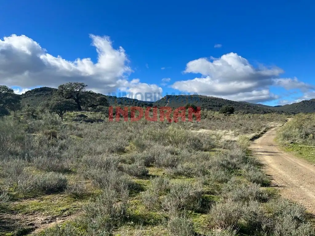 Finca rústica en venta en Carrascalejo