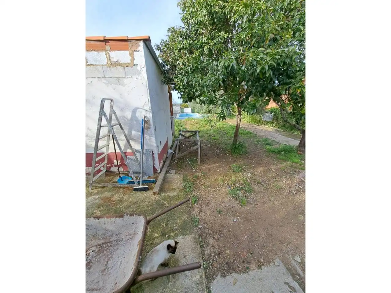 Finca rústica en venta en Oeste