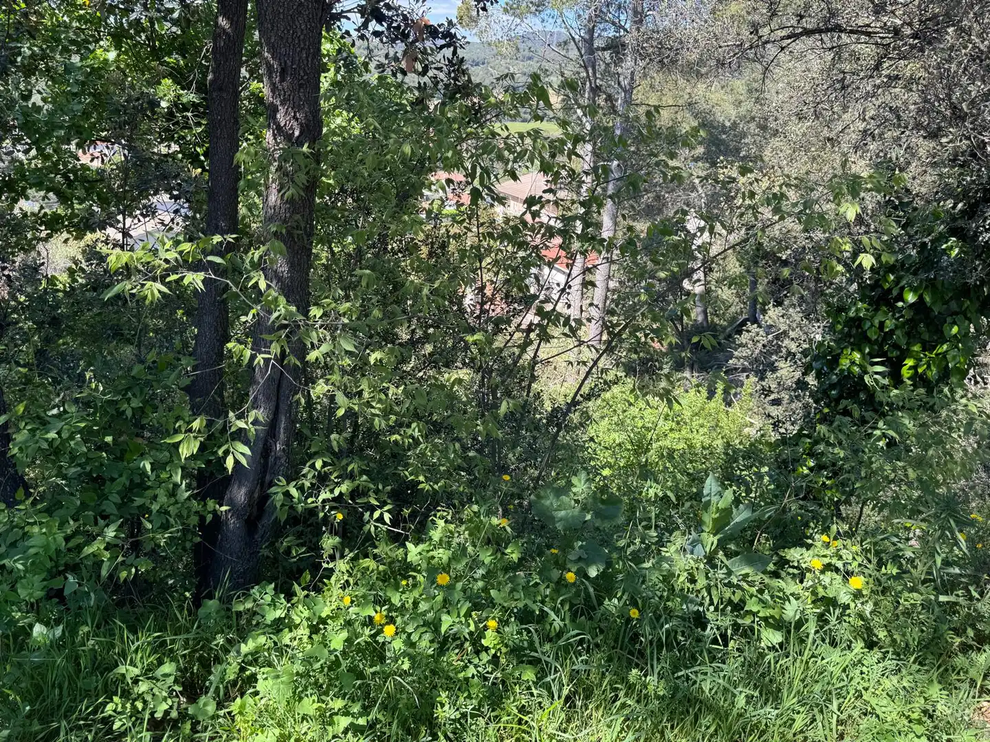 Terreno rustico in vendita a Piera