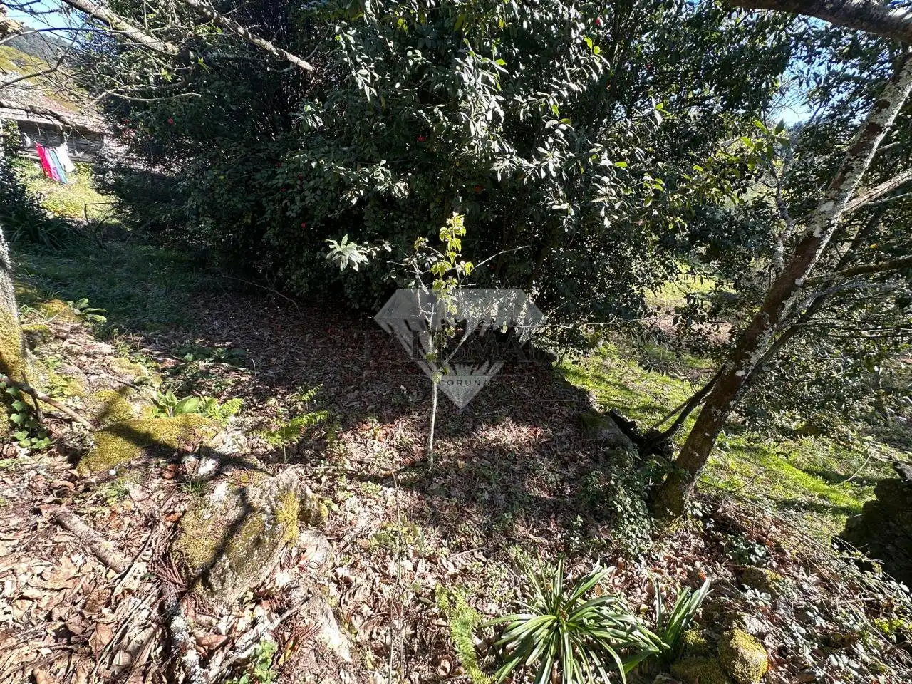 Casa rústica amb jardí en venda a NOCEIFAS, imagen 8