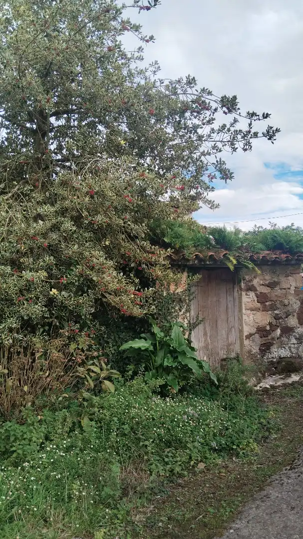 Casa a schiera con giardino in vendita a Parroquias suroccidentales, imagen 18