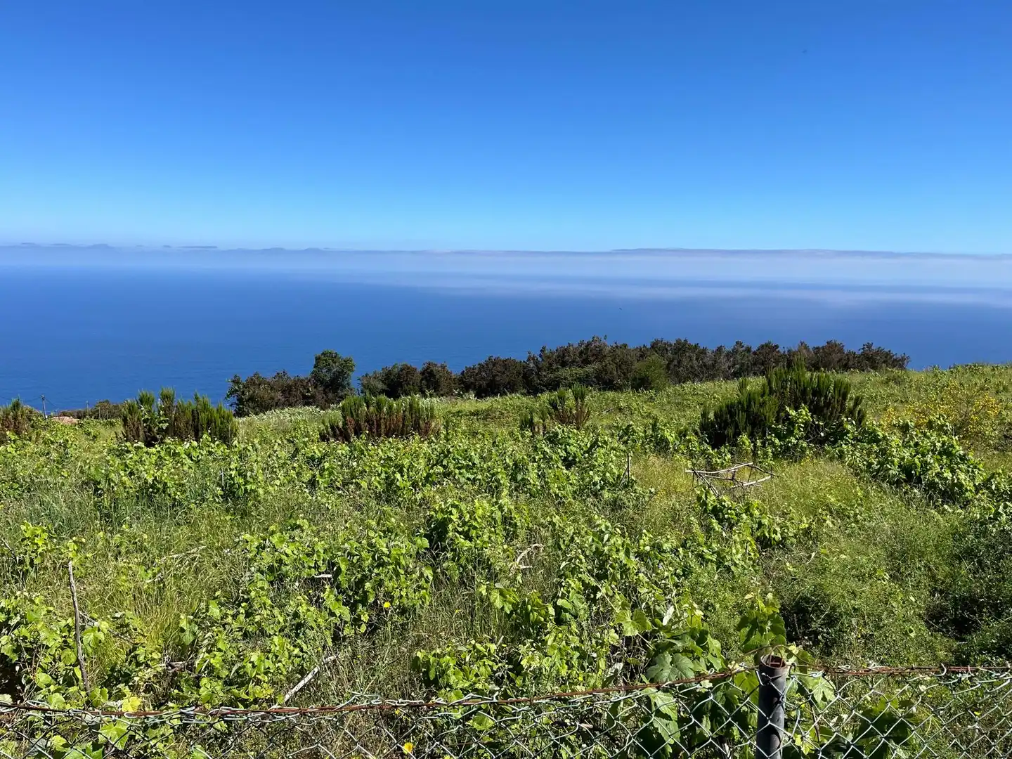 Residential for sale in Santa Úrsula