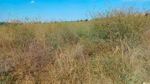 Photo 5 of Residential for sale in Ruices (los), -1, Torre-Pacheco ciudad, Murcia