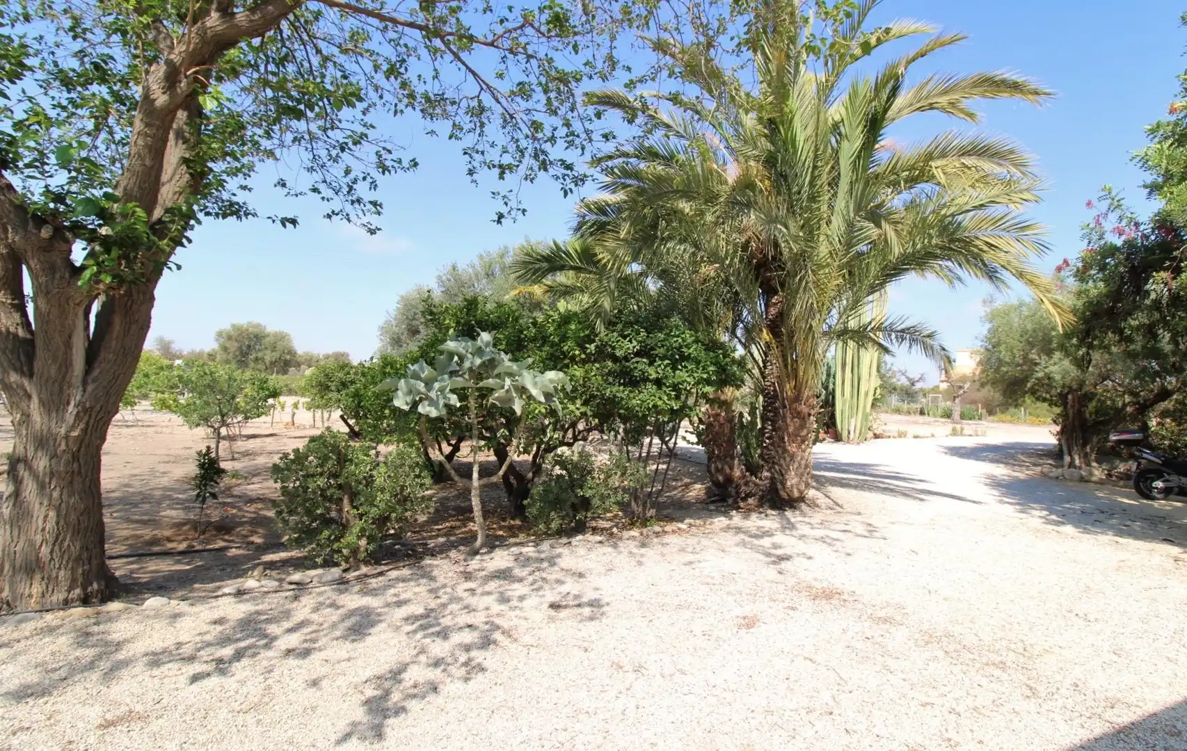 Houses for rent in Sant Joan d'Alacant  with Private garden, Terrace and Swimming Pool