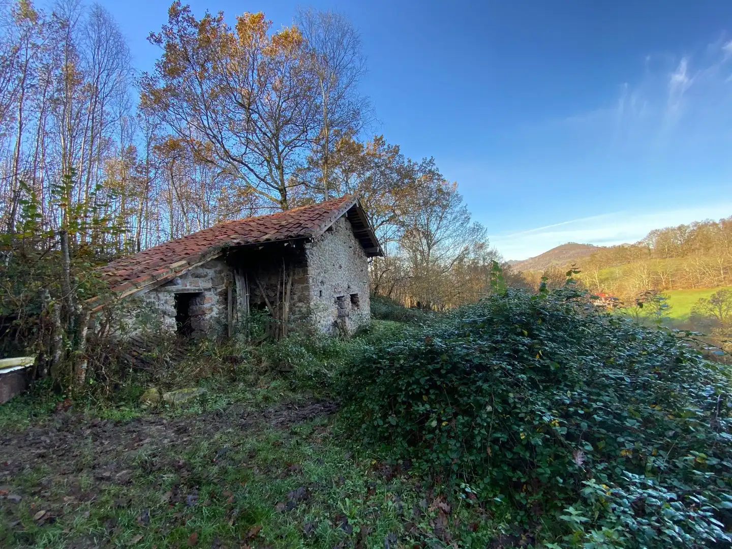 Terreno rustico in vendita a Cangas de Onís, imagen 4