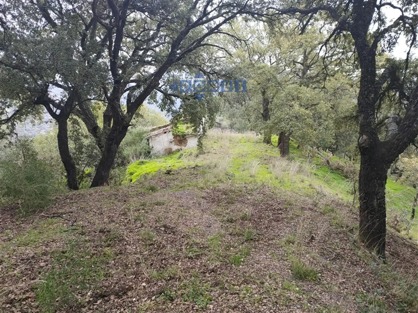 Casa rústica en venda a Algatocín, imagen 19