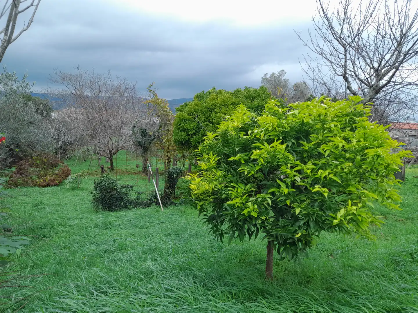 Casa o xalet en venda en Pontevedra Capital  amb Moblat