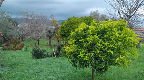 Foto 3 de Casa o chalet en venta en Zona Fernández Ladreda, Pontevedra Capital