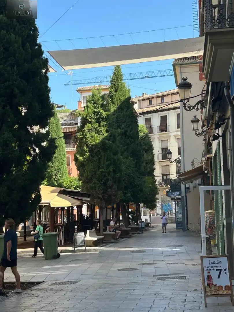 Vista exterior de Apartament de lloguer en Granada amb Traster, Moblat i Balcó