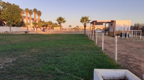 Foto 3 de Terreno en venta en Loreto, Espartinas