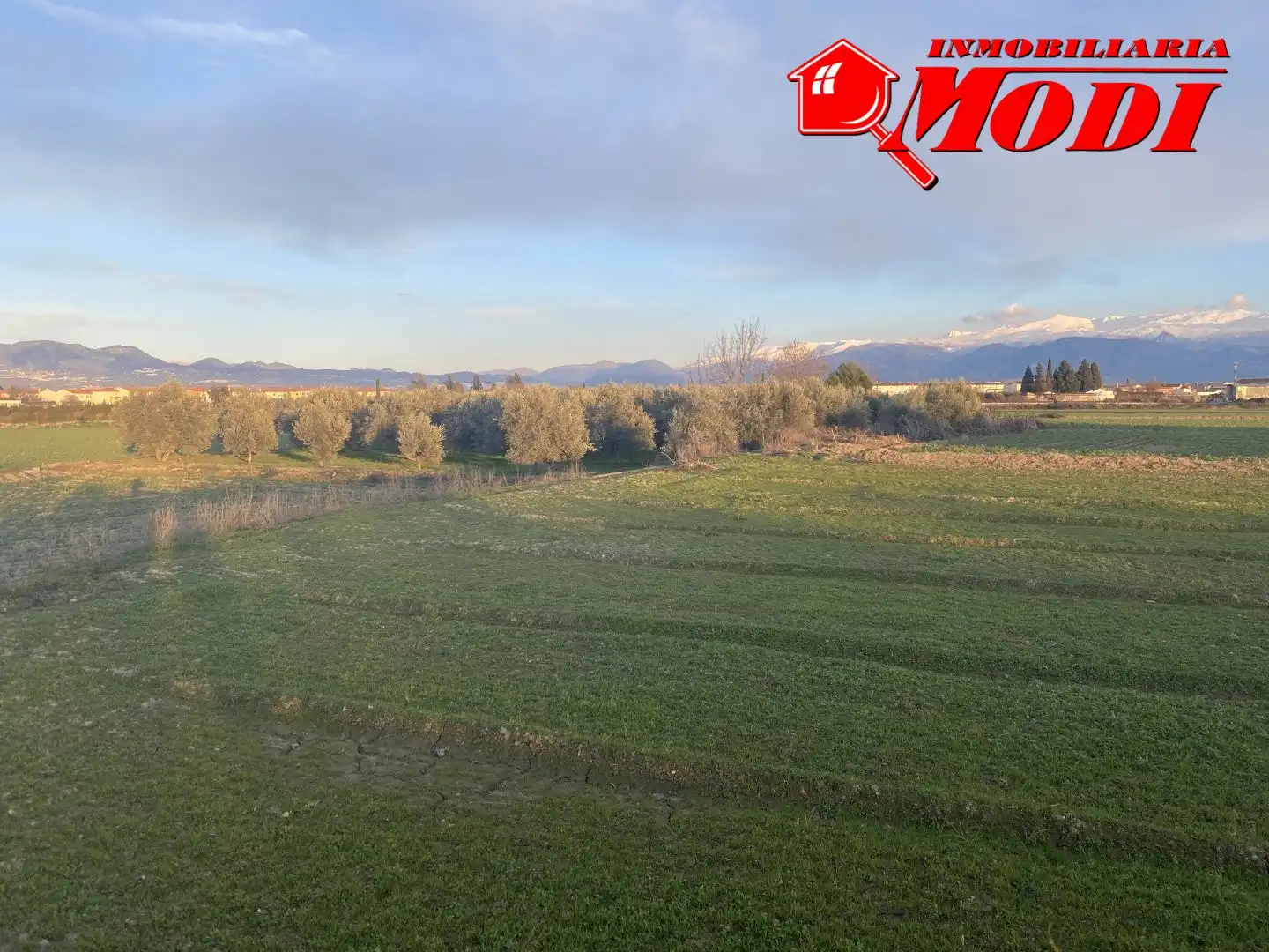 Terrenys i solars en venda a Belicena, imagen 7