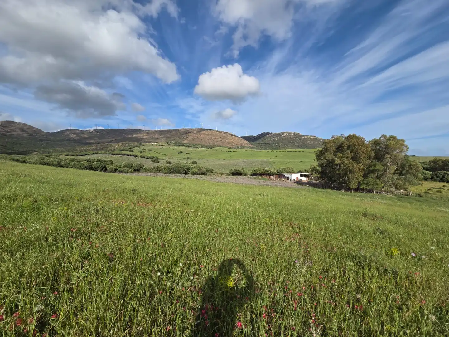Terreno en venta en Tarifa