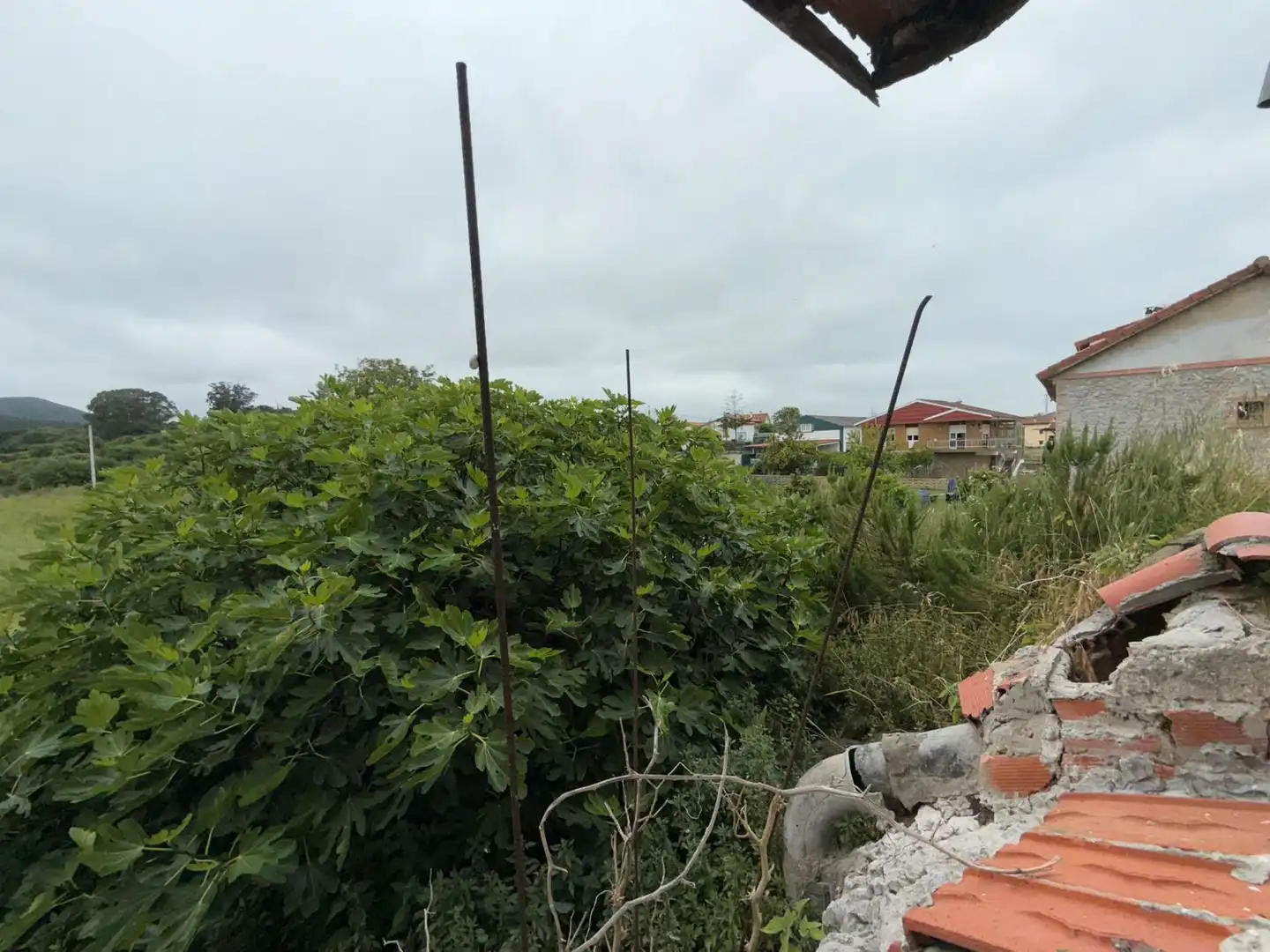 Houses for sale in Argoños 