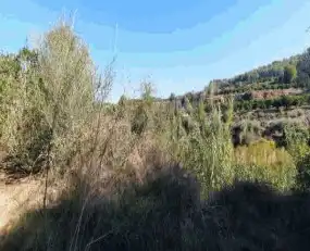 Terreny rústic en venda a Barxeta, imagen 3