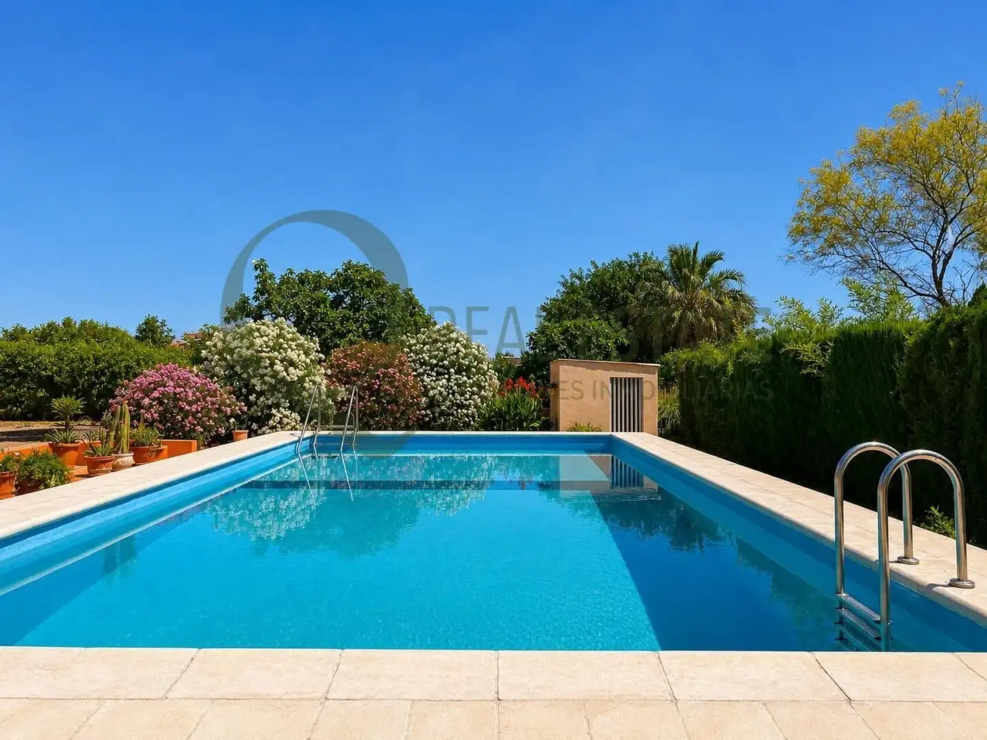 Piscina de Casa o chalet en venta en Villena con Jardín privado, Piscina y Amueblado