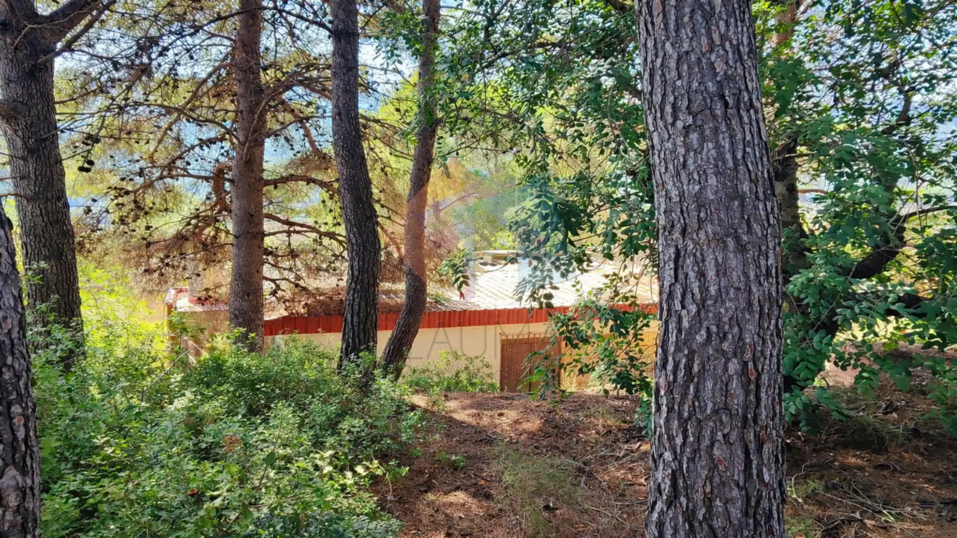 Jardí de Casa o xalet en venda en Montitxelvo / Montichelvo amb Jardí privat, Traster i Piscina