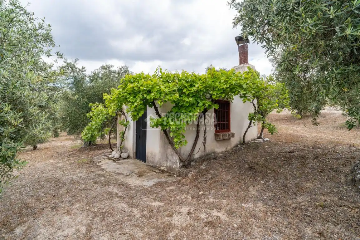 Terreni e lotti in vendita a Albaicín, imagen 7