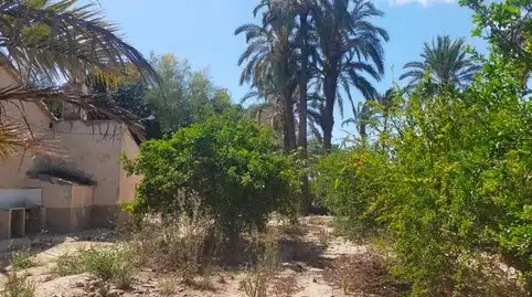 Country homes for sale in Elche / Elx, Alicante