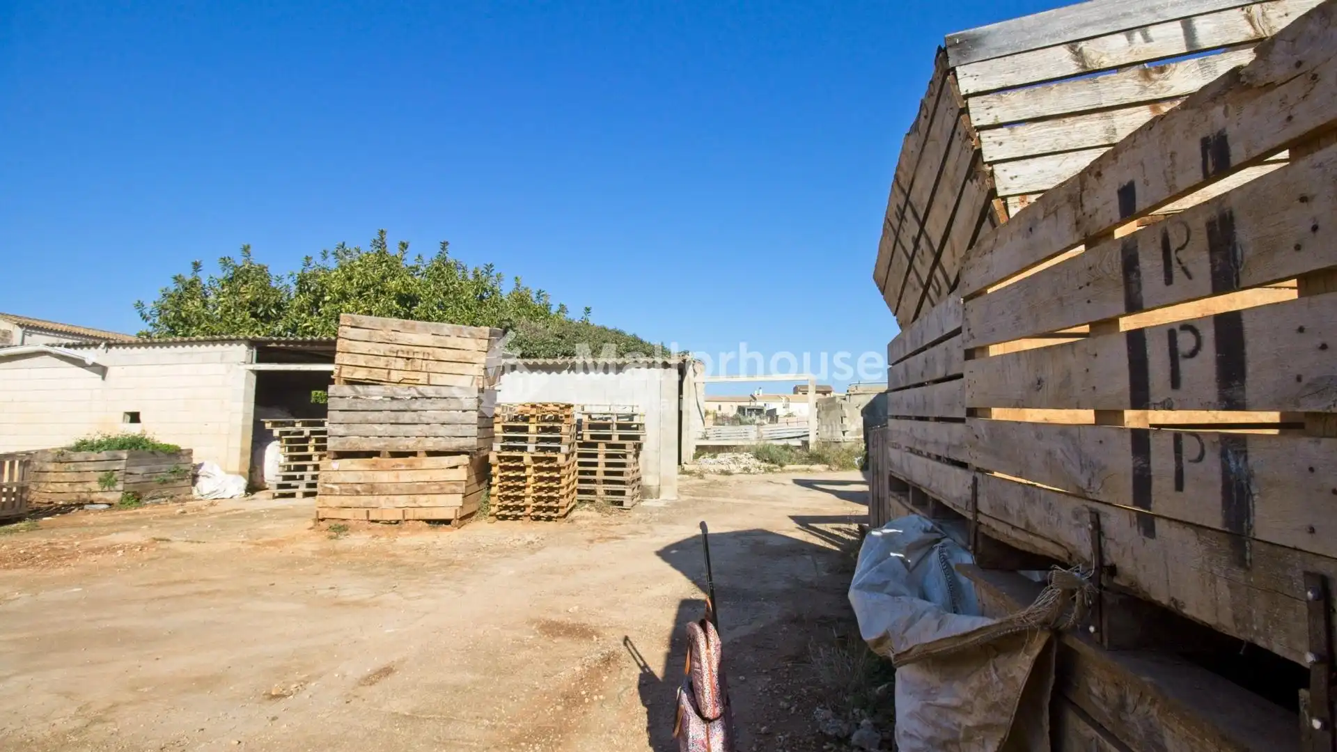 Grundstücke und Bauplätze zum Verkauf in Muro, imagen 8