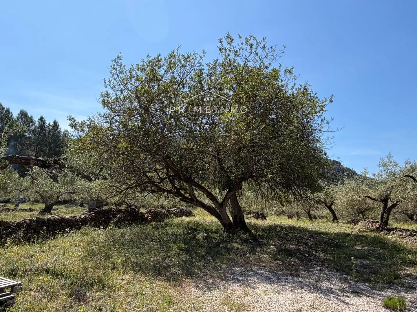 Terreno rústico en venta en L'Ametlla de Mar pueblo, imagen 16