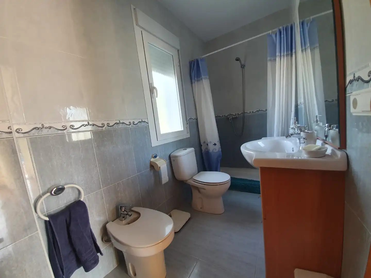 Baño de Casa o chalet de alquiler en Lanteira con Piscina, Amueblado y Se aceptan mascotas
