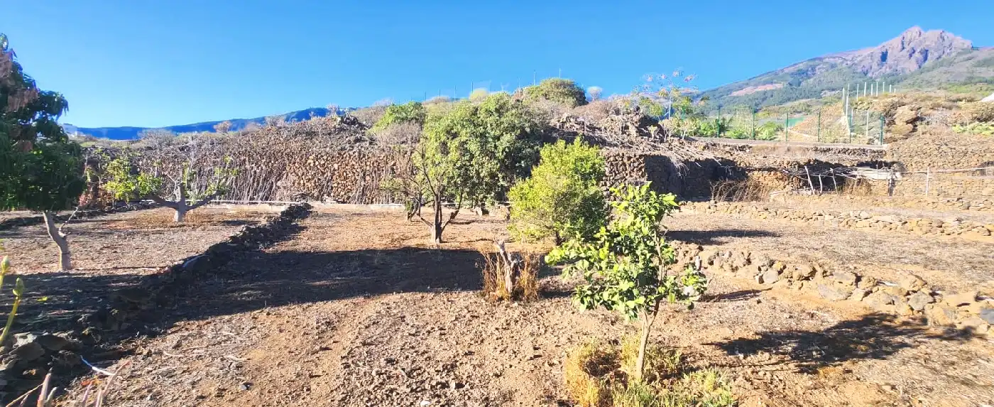 Casa o xalet en venda en Arafo amb Jardí privat, Terrassa i Traster