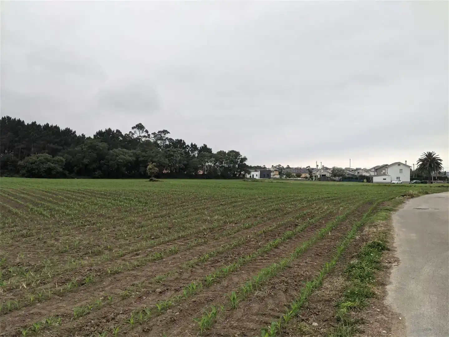 Terreno en venta en El Franco 
