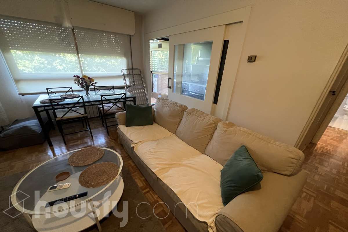 Living room of Flat to rent in  Madrid Capital  with Furnished, Balcony and Community pool