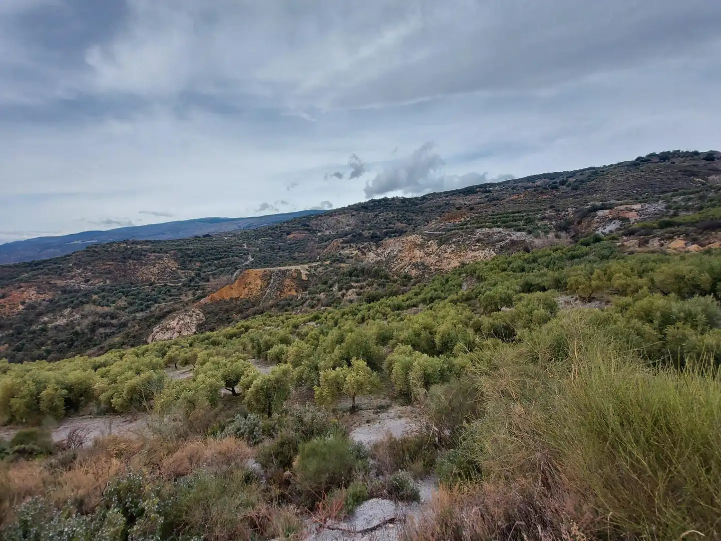Country homes for sale in Nevada