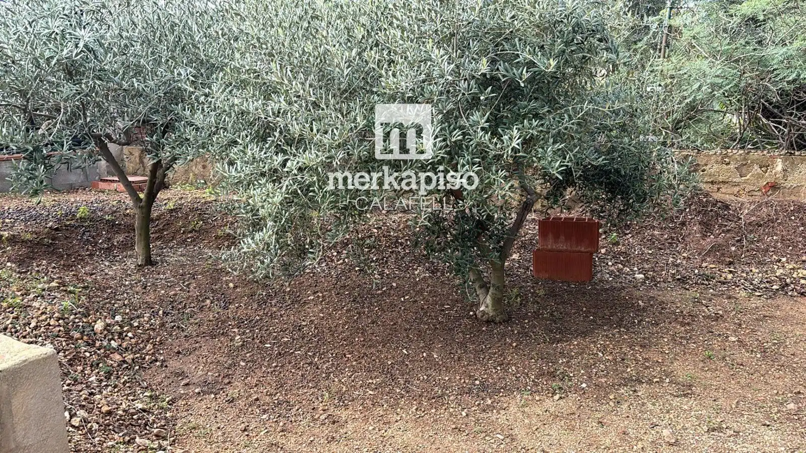 Terreny rústic en venda a Valldemar - Montmar, imagen 3