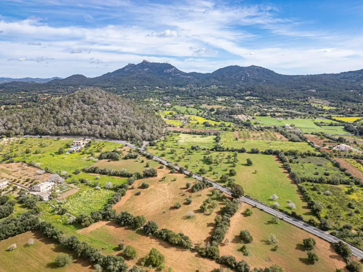 Rural land for sale in Felanitx Poble, imagen 8