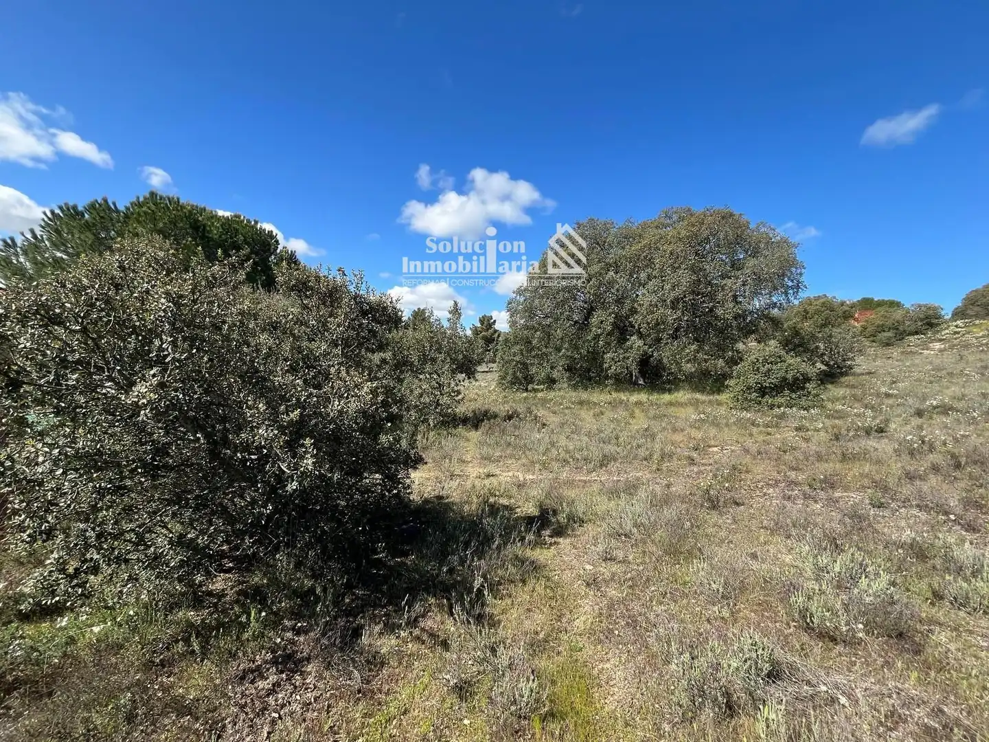 Terreno en venta en Terradillos