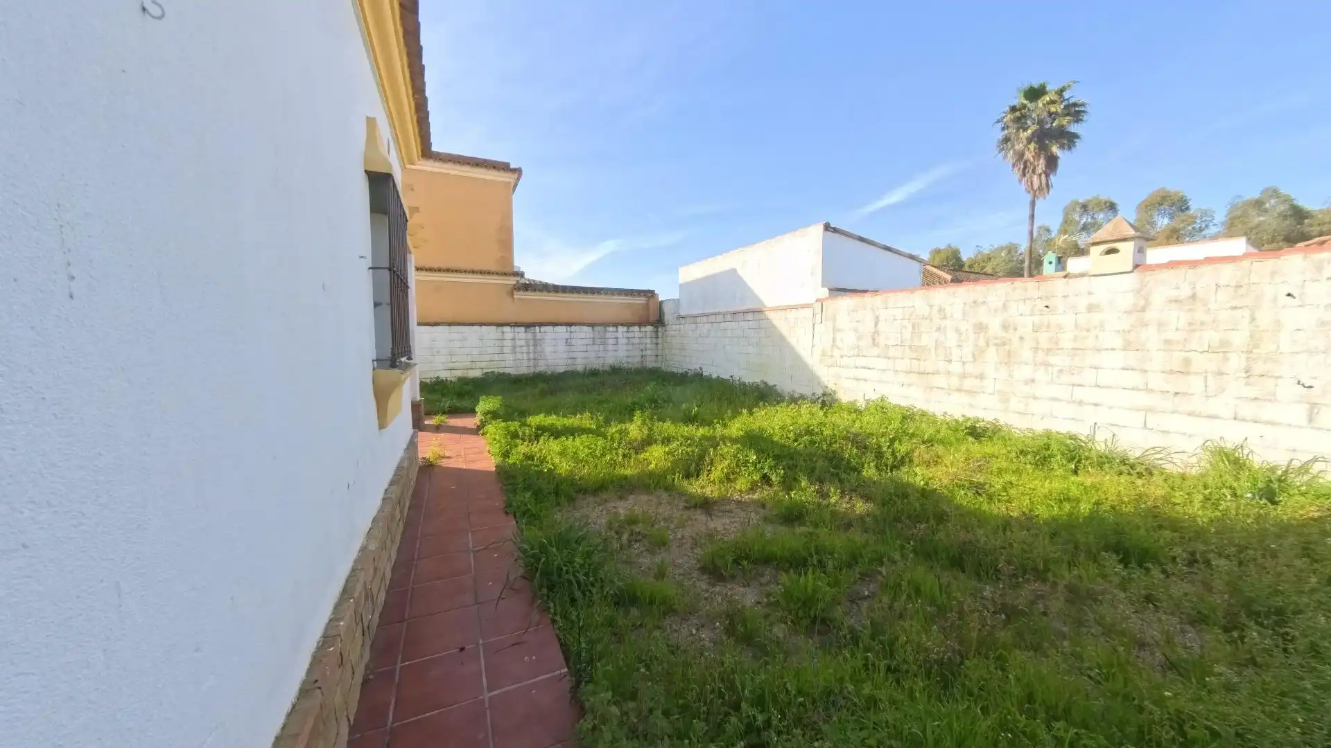 Jardí de Casa o xalet en venda en Chiclana de la Frontera amb Jardí privat i Terrassa