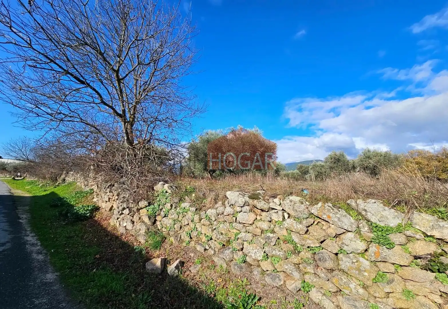 Terreni e lotti in vendita a La Adrada, imagen 8