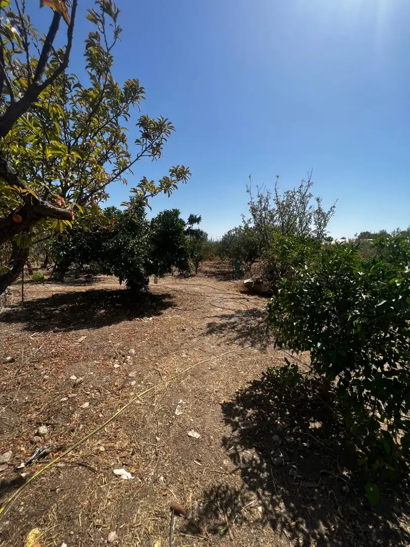 Casa rústica en venta en Carretera a Galachar, imagen 18