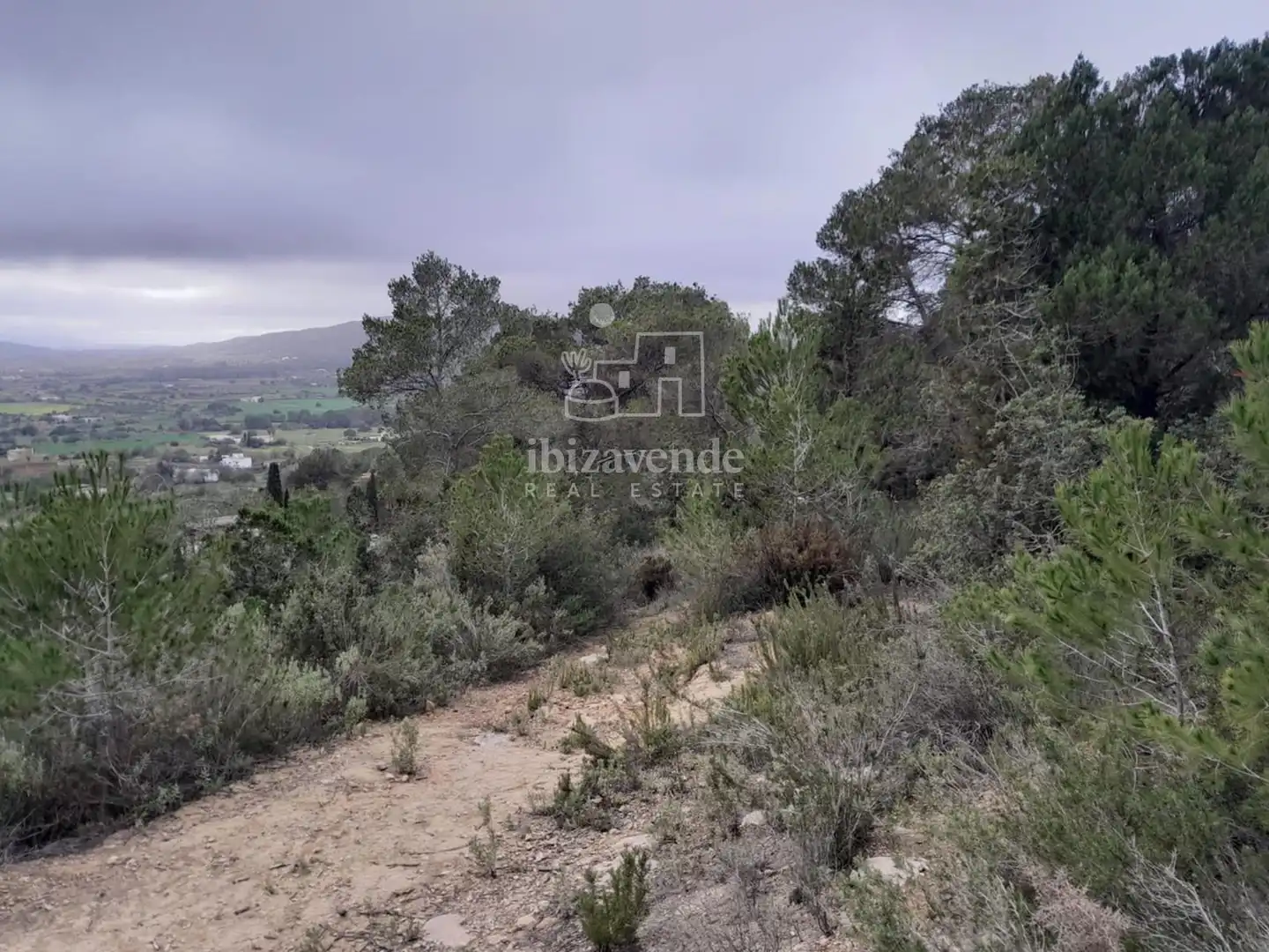 Casa o xalet en venda en Santa Eulària des Riu amb Jardí privat