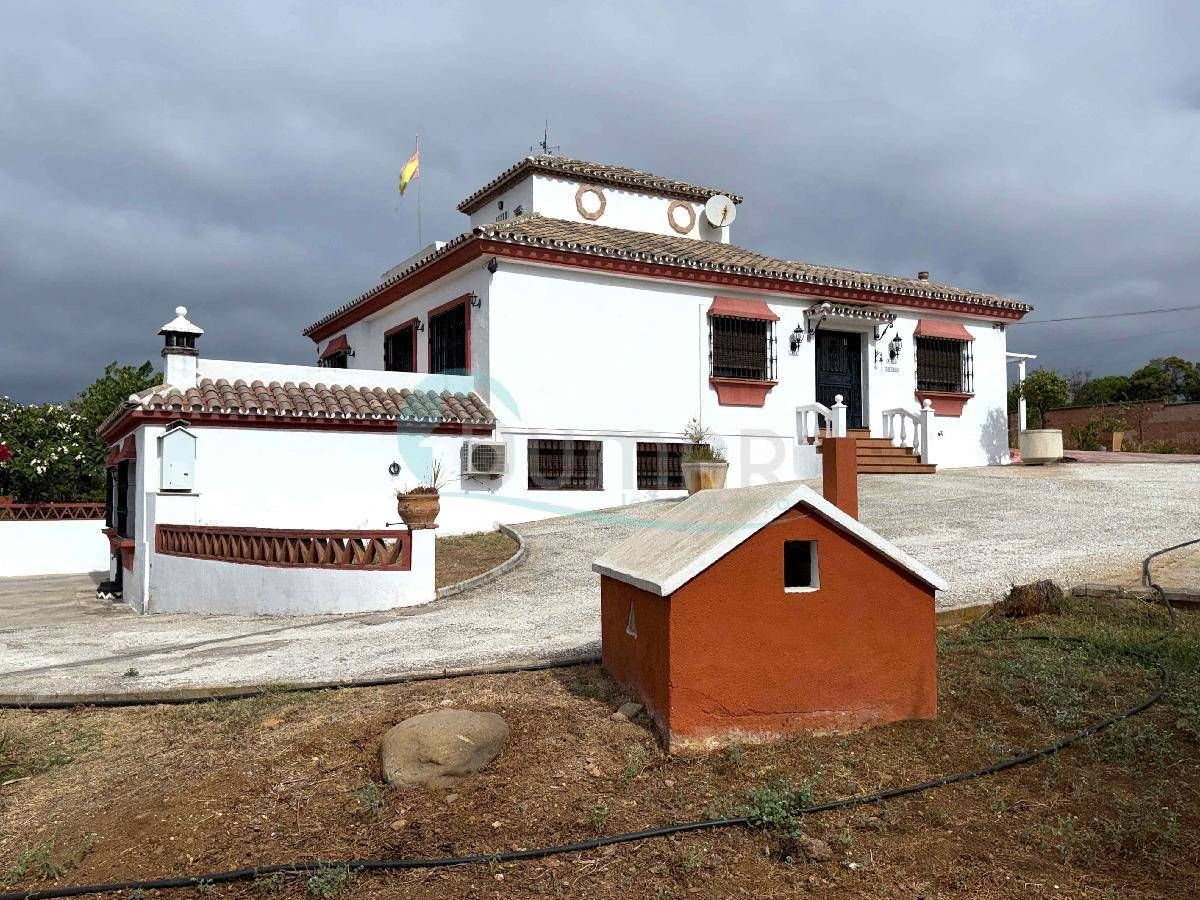 Casa o xalet en venda a San Pedro de Alcántara pueblo