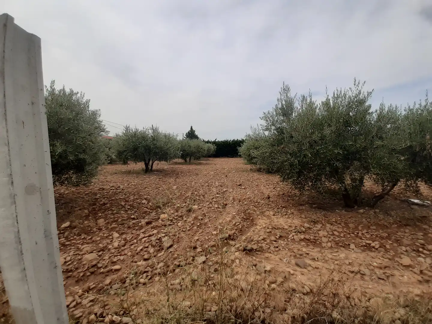 Terrenys i solars en venda a Arnedo, imagen 4