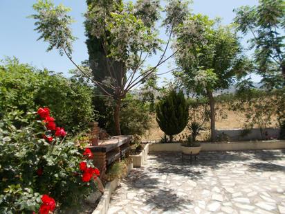 Garden of House or chalet for sale in Gójar  with Heating, Private garden and Parquet flooring