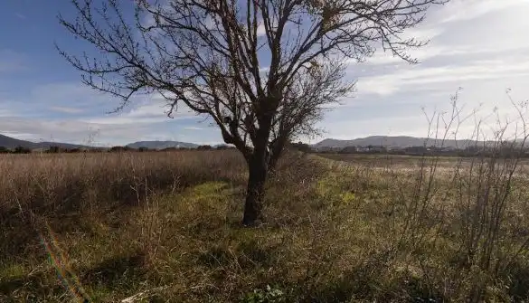 Rural land for sale in Polígono  Saratsua  polígono, imagen 23
