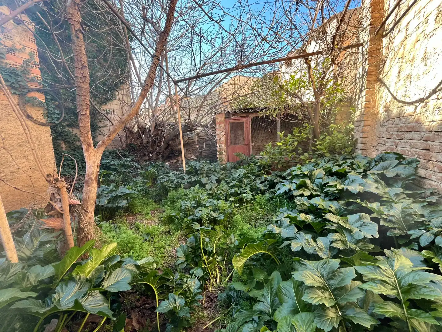 Jardí de Casa o xalet en venda en Dúrcal amb Jardí privat