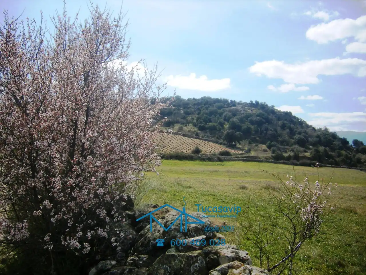 Terreni e lotti in vendita a Cebreros, imagen 19