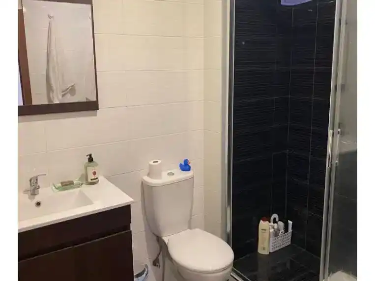 Bathroom of Flat for rent in Centro Urbano