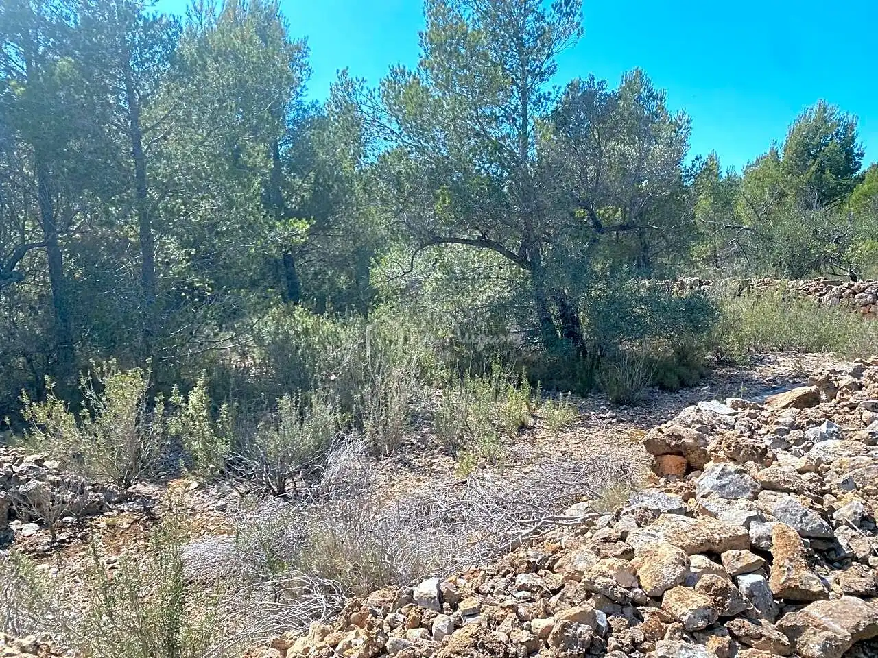 Residential zum Verkauf in Carrratillana, Roques Daurades - L'Estany